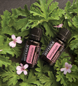 dōTERRA Geranium Essential Oil 15ml