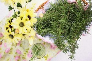 Read more about the article Rosemary Essential Oil Secrets