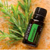 doTerra Rosemary essential oil