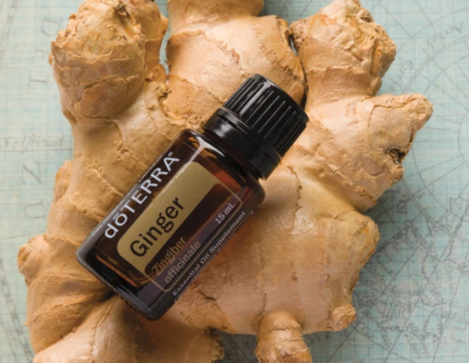 Dōterra Ginger Essential Oil 15ml Use Essential Oils Australia