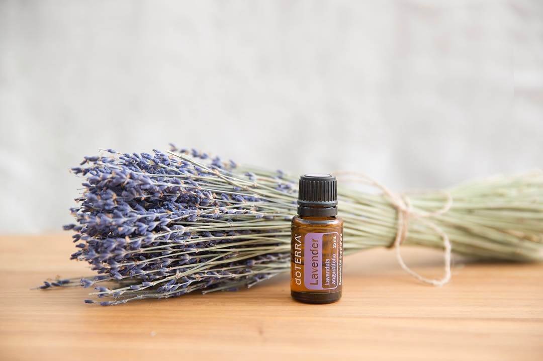 You are currently viewing 10 Most Used Essential Oils